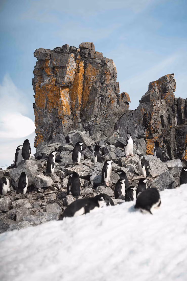 Antarctica