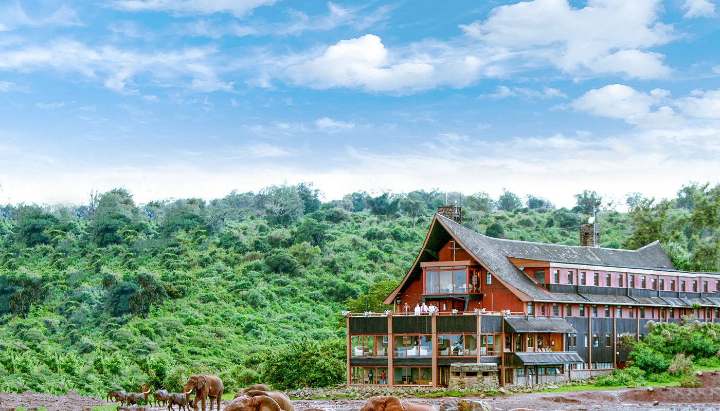 Noah's Ark Lodge