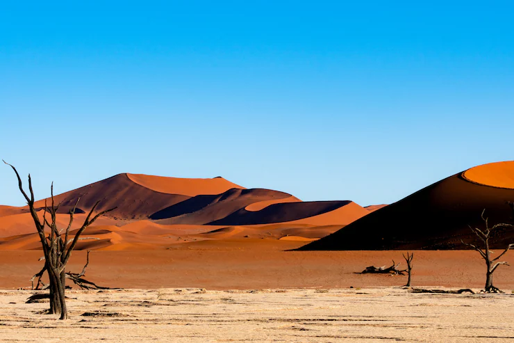 Desert