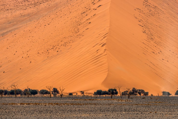Kalahari Desert