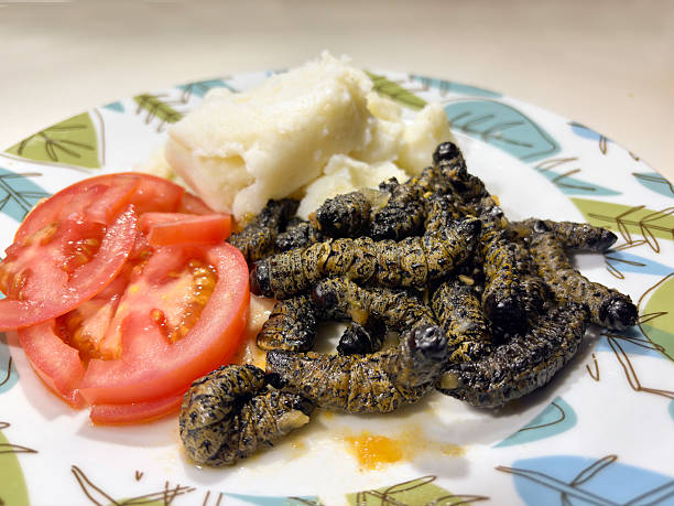 Mopane Worms