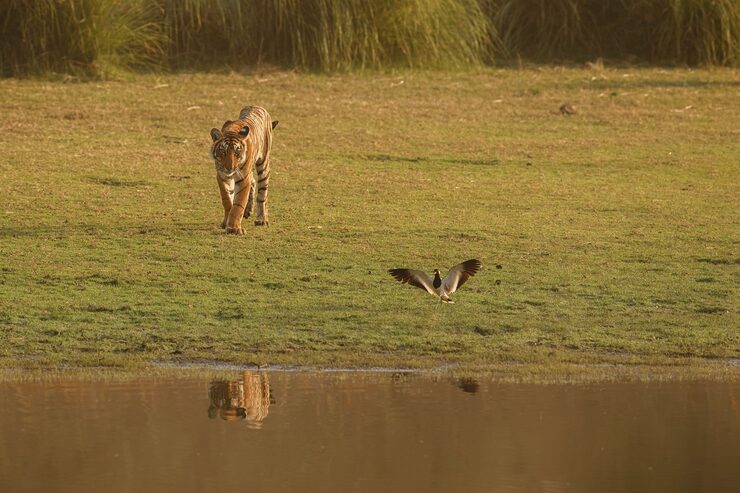 Okavango Delta (UNESCO)