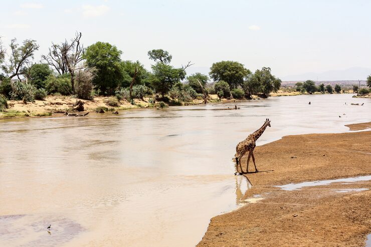Makgadikgadi Salt Pans