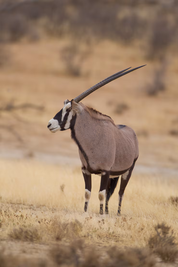 Botswana