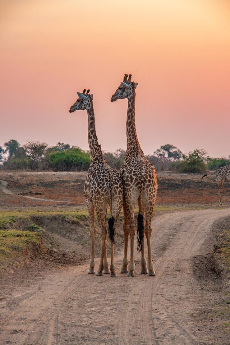 Kenya