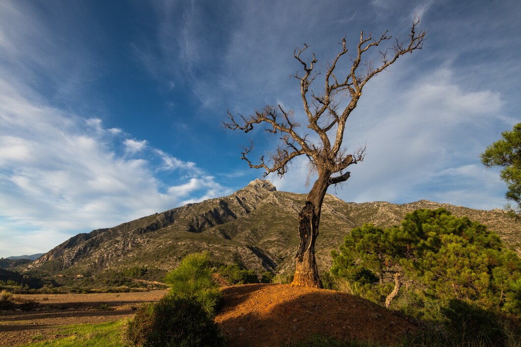 Mozambique