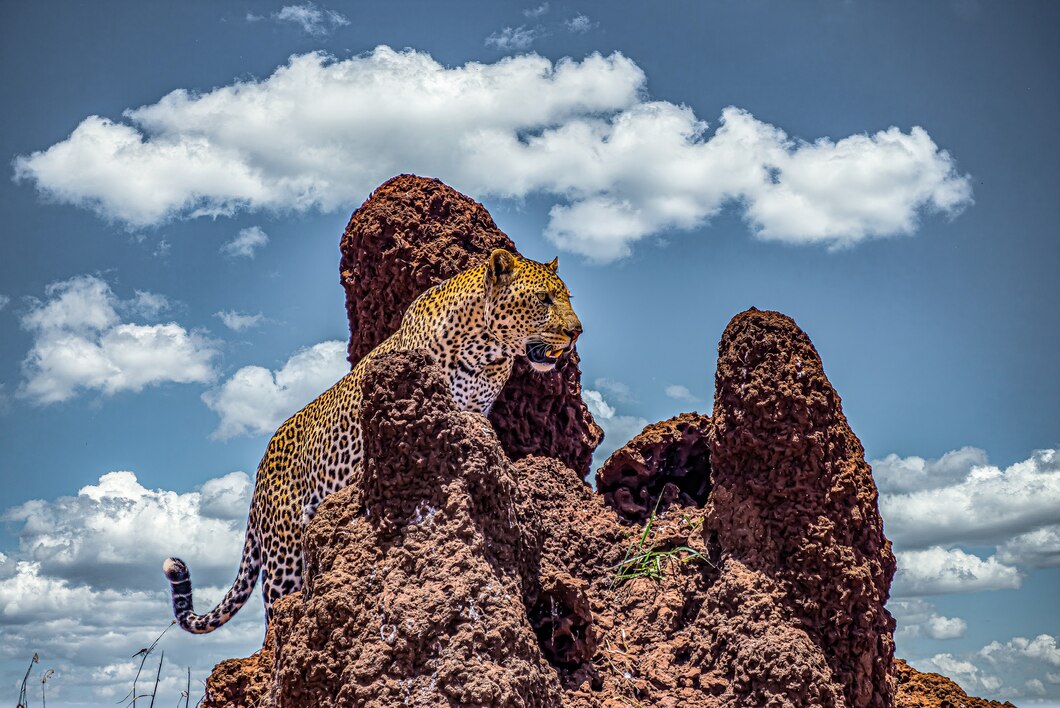 Tanzania