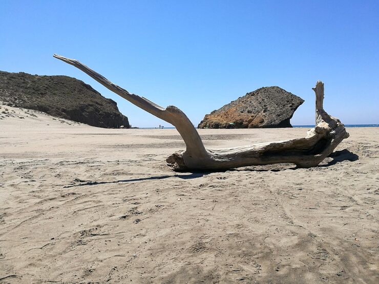 Skeleton Coast