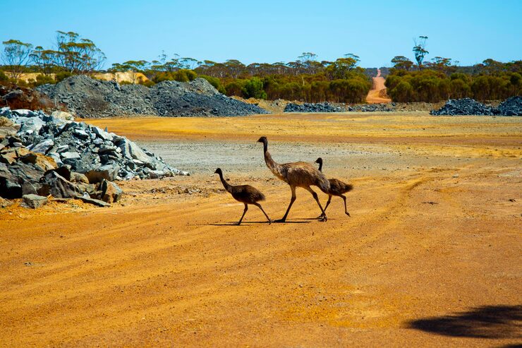 Addo Elephant National Park