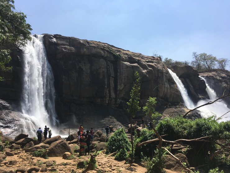 South Luangwa National Park