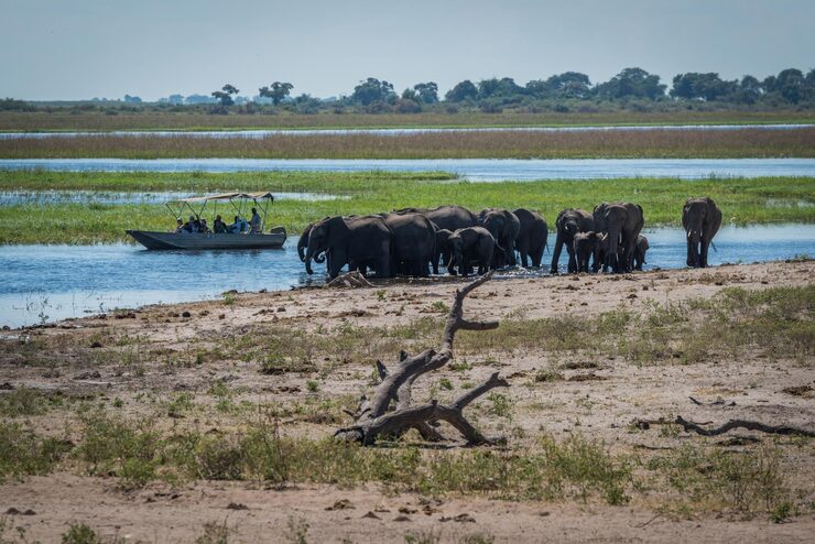 Botswana Landscape