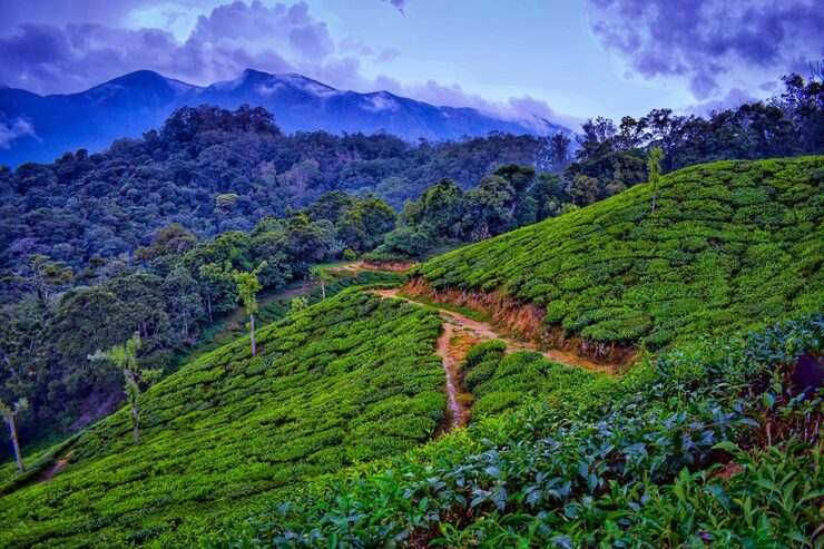 Abbey Falls Coorg