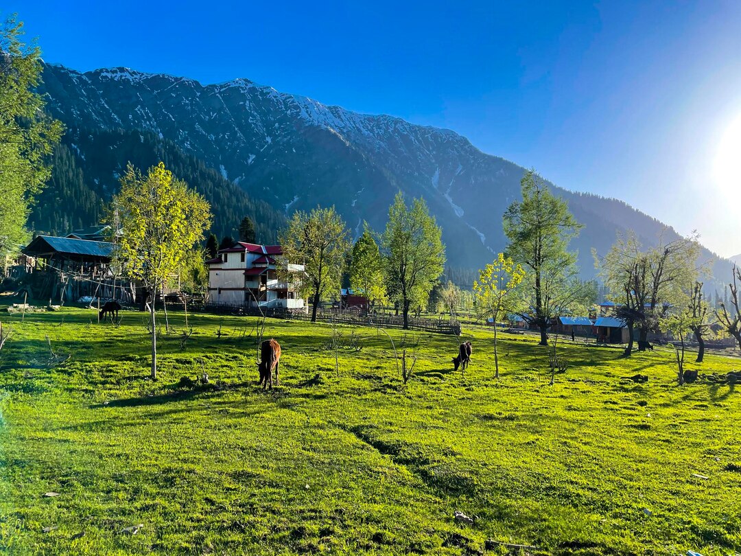 Dal Lake Srinagar