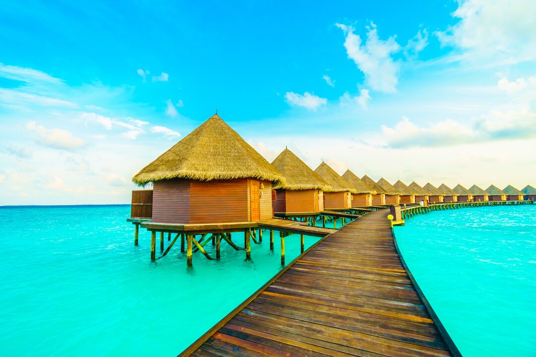 Maldives Snorkeling