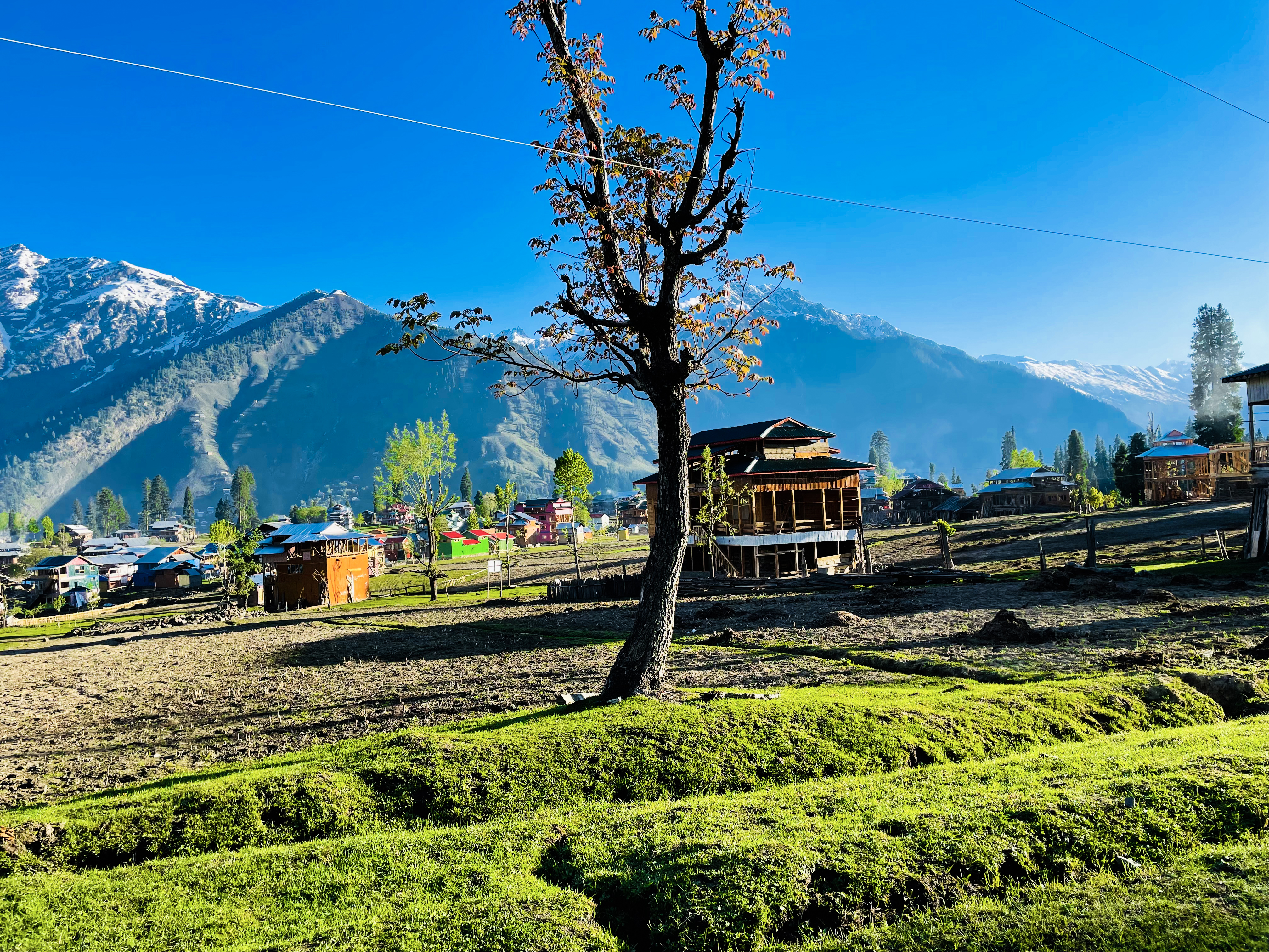 Pelling Monastery